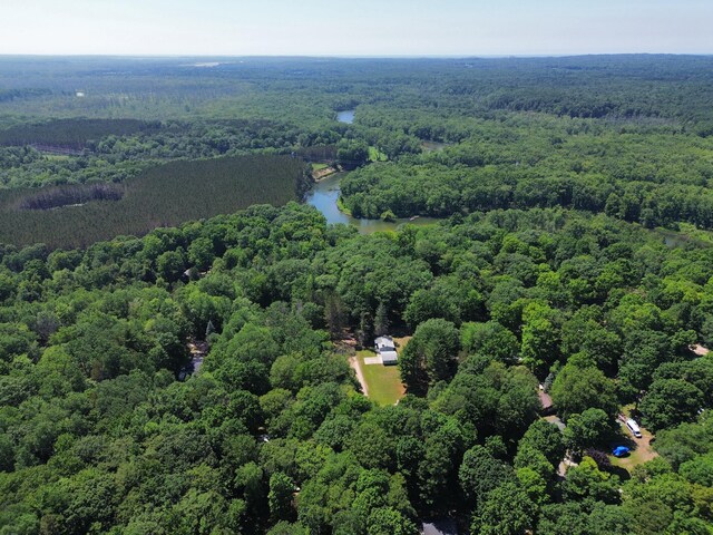 2564 Bialik Rd, Manistee, MI 49660 - aerial view of property and surrounding area with a heavily wooded area and a nearby body of water