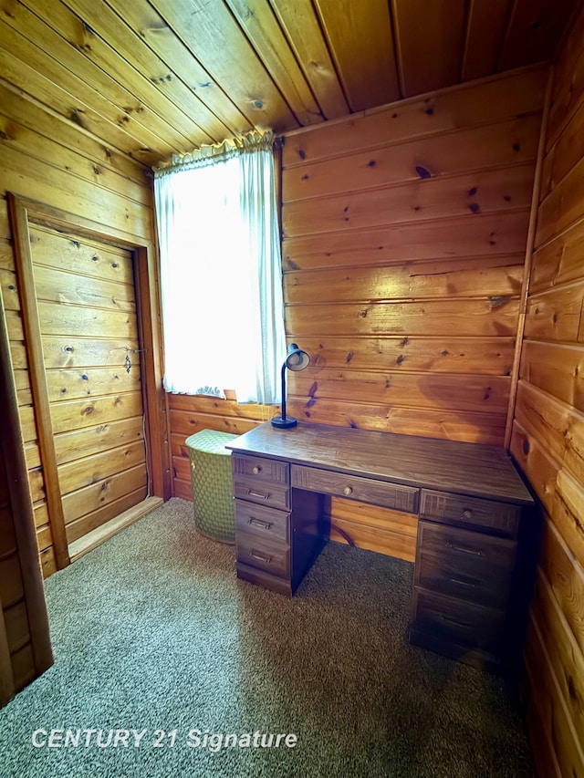 3525 Shattuck Rd, Saginaw, MI 48603 - unfurnished office with carpet floors, wooden walls, and wood ceiling