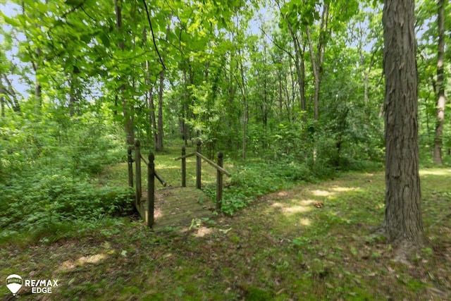 11206 E Atherton Rd, Davison, MI 48423 - view of woods