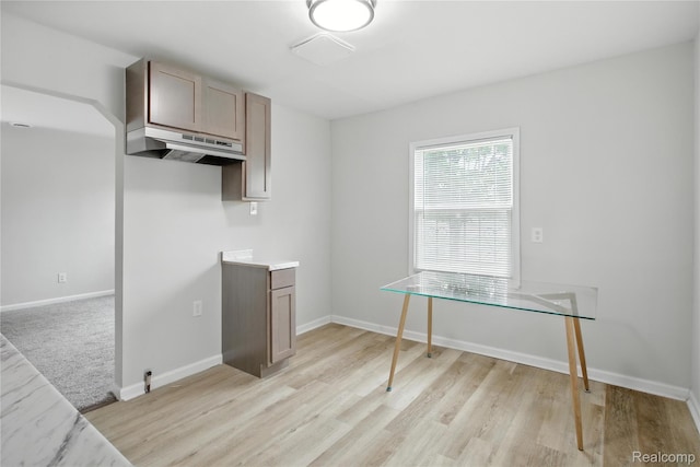 3887 Moore Ave, Allen Park, MI 48141 - kitchen featuring under cabinet range hood, light wood-type flooring, and light countertops