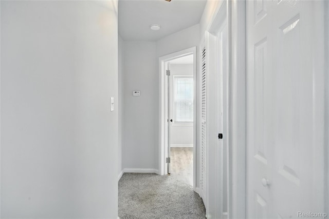 3887 Moore Ave, Allen Park, MI 48141 - corridor with carpet and baseboards