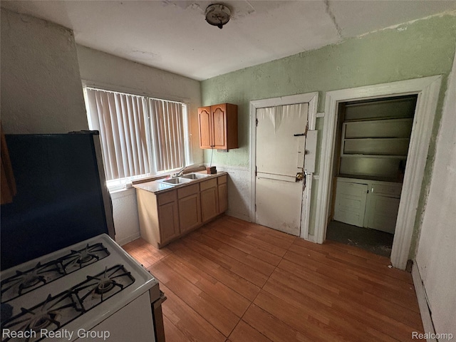 199 Waverly St, Highland Park, MI 48203 - kitchen featuring white gas range, light wood-type flooring, and freestanding refrigerator