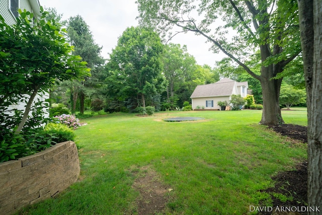 401 Erin Isle Ct, Holland, MI 49424 - view of green lawn