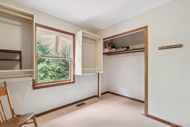 7740 Athlone Dr, Brighton, MI 48116 - spacious closet with light carpet