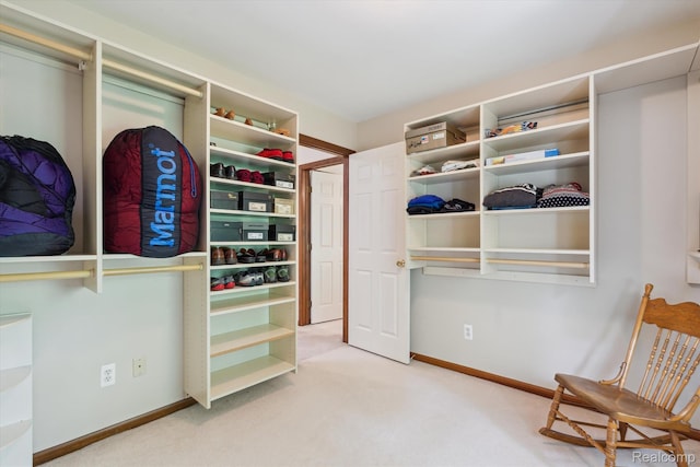 7740 Athlone Dr, Brighton, MI 48116 - walk in closet featuring carpet flooring