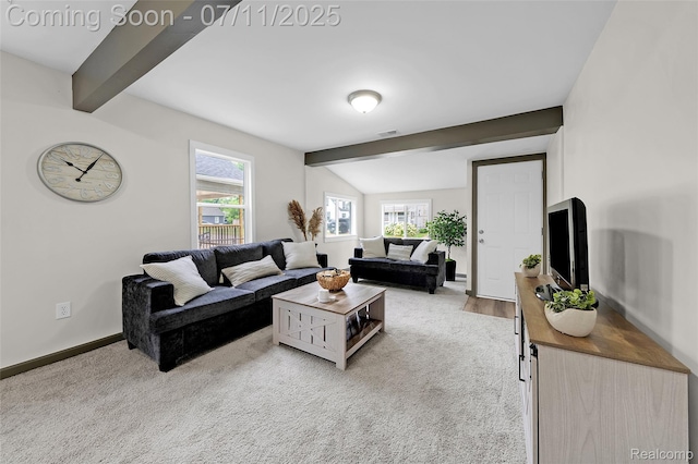 313 W Harwood Ave, Madison Heights, MI 48071 - living area with carpet flooring