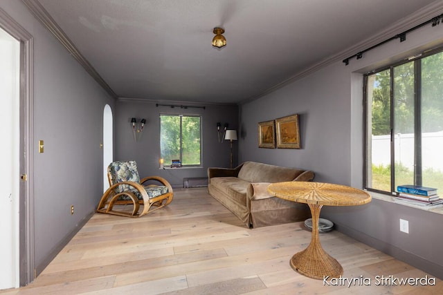 1217 El Camino Dr NW, Grand Rapids, MI 49504 - living area featuring ornamental molding, arched walkways, wood-type flooring, and a baseboard heating unit