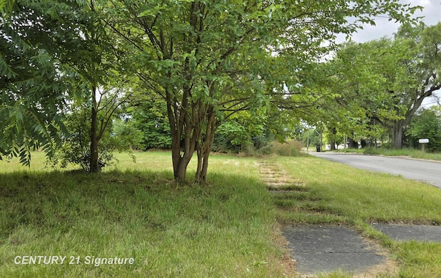 Donaldson St, Flint, MI 48504
