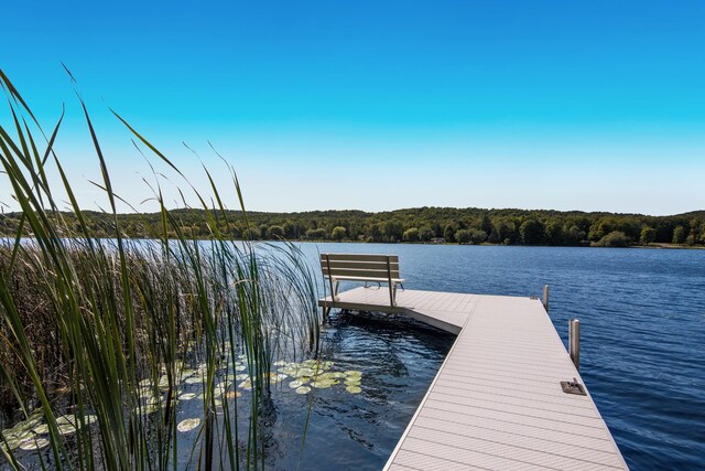 4871 Murray Ln, East Jordan, MI 49727 - photo 8
