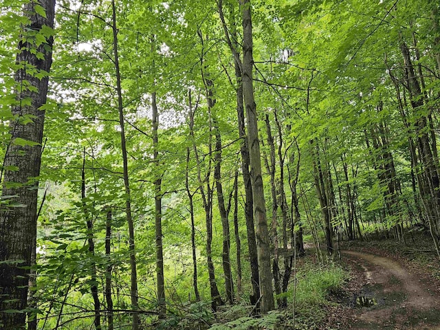 V/L Canyon Road, Leroy, MI 49665 - photo 2