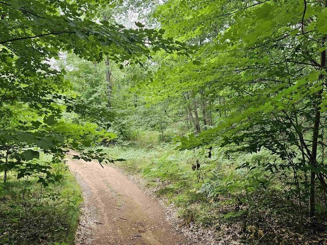 V/L Canyon Road, Leroy, MI 49665 - photo 3