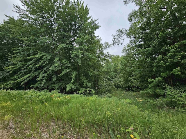 V/L Canyon Road, Leroy, MI 49665 - photo 5