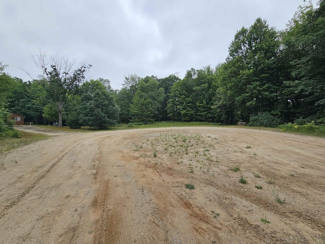 V/L Canyon Road, Leroy, MI 49665 - photo 7