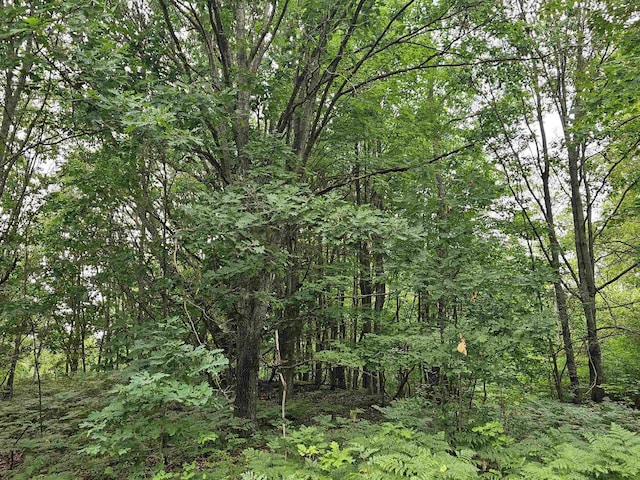 V/L Canyon Road, Leroy, MI 49665 - photo 4