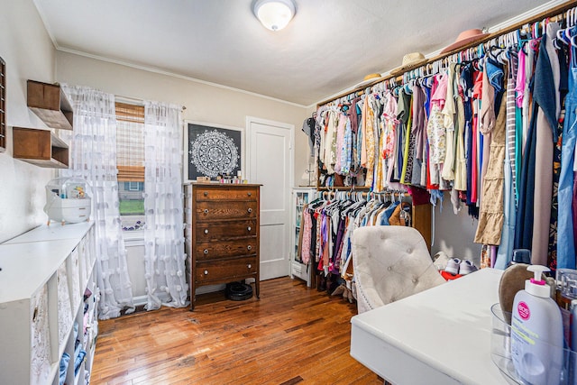 1805 Cambridge Dr, Kalamazoo, MI 49001 - walk in closet with hardwood / wood-style flooring