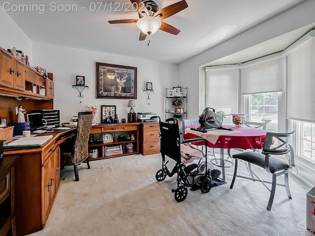 12495 Howland Park Dr, Plymouth, MI 48170 - office space featuring light colored carpet and ceiling fan