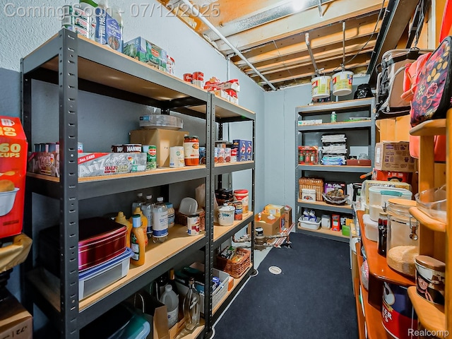 12495 Howland Park Dr, Plymouth, MI 48170 - view of storage