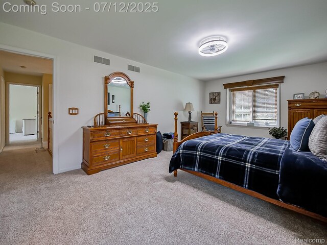 12495 Howland Park Dr, Plymouth, MI 48170 - view of carpeted bedroom