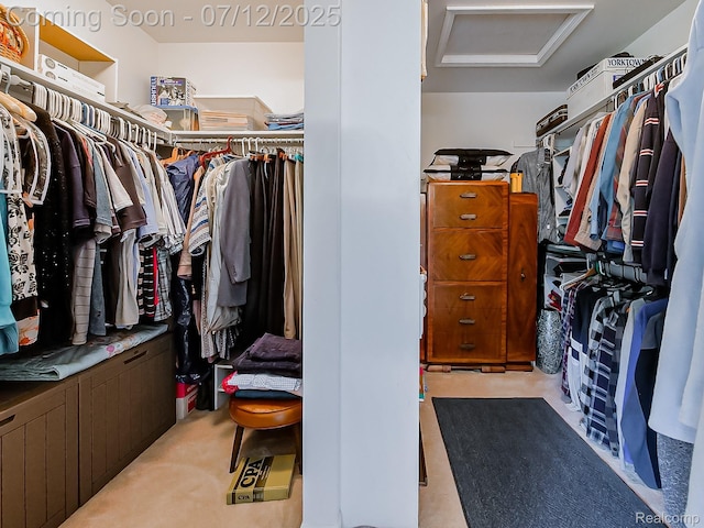 12495 Howland Park Dr, Plymouth, MI 48170 - spacious closet with attic access