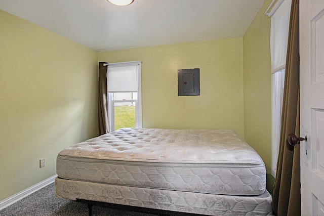 95 W N St, Ionia, MI 48846 - carpeted bedroom with electric panel and baseboards