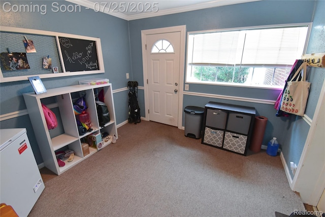20870 Lange St, Saint Clair Shores, MI 48080 - photo 25