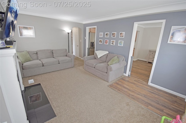 20870 Lange St, Saint Clair Shores, MI 48080 - photo 4