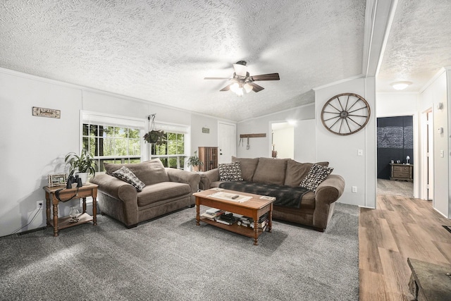 797 Beaver Rd, Bitely, MI 49309 - living area with ceiling fan, a textured ceiling, wood finished floors, and lofted ceiling