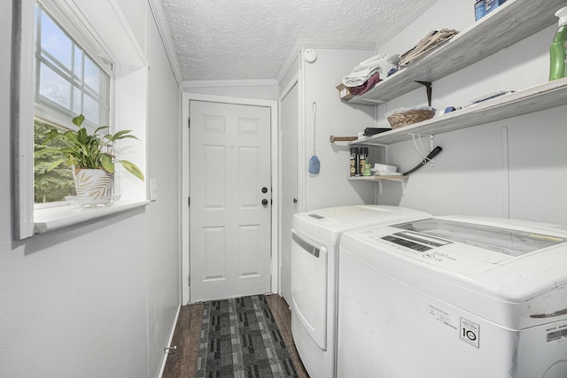 797 Beaver Rd, Bitely, MI 49309 - laundry area with washing machine and dryer, crown molding, dark wood-style flooring, and a textured ceiling