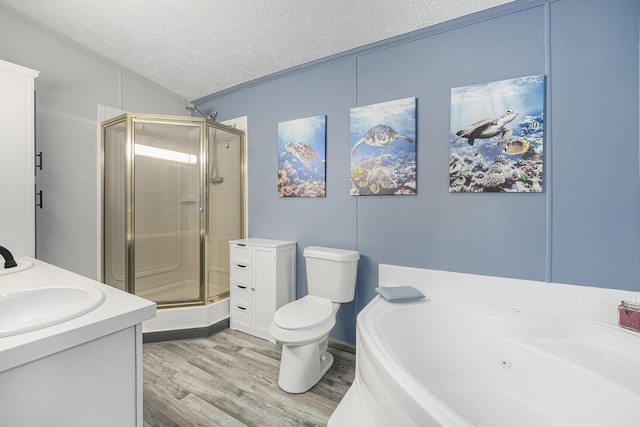 797 Beaver Rd, Bitely, MI 49309 - full bath with a textured ceiling, a shower stall, a tub with jets, wood finished floors, and vanity