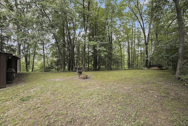 797 Beaver Rd, Bitely, MI 49309 - view of green lawn