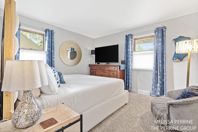 116 Loch Lomond Ave NE, Grand Rapids, MI 49546 - view of carpeted bedroom