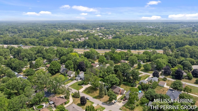 116 Loch Lomond Ave NE, Grand Rapids, MI 49546 - aerial view of a forest