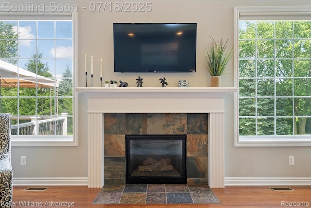 25506 Stanley Ln, South Lyon, MI 48178 - detailed view of a fireplace and wood finished floors