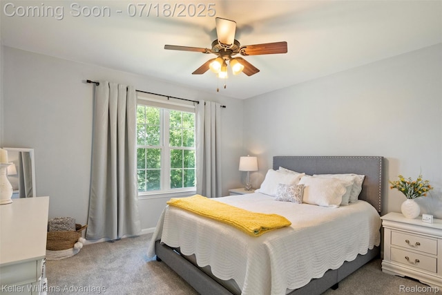 25506 Stanley Ln, South Lyon, MI 48178 - carpeted bedroom featuring ceiling fan and baseboards