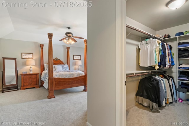 25506 Stanley Ln, South Lyon, MI 48178 - bedroom with carpet and a closet