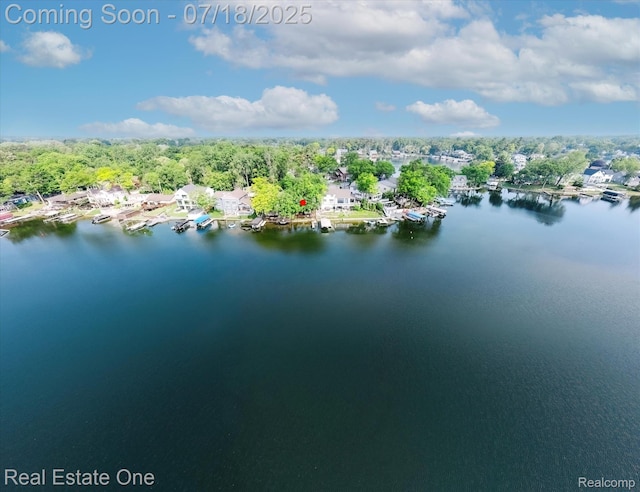 423 Shady Oaks St, Lake Orion, MI 48362 - photo 13