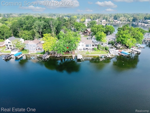 423 Shady Oaks St, Lake Orion, MI 48362 - photo 12