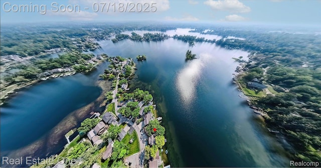 423 Shady Oaks St, Lake Orion, MI 48362 - photo 22