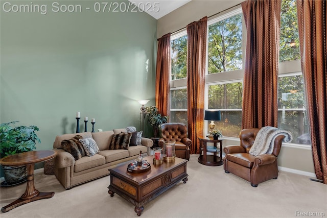 9589 Wellington Ct, Clarkston, MI 48348 - living area with carpet and healthy amount of natural light