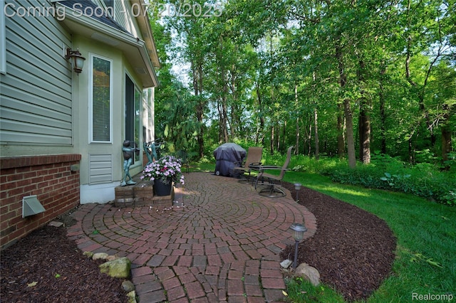 9589 Wellington Ct, Clarkston, MI 48348 - view of patio / terrace featuring a grill