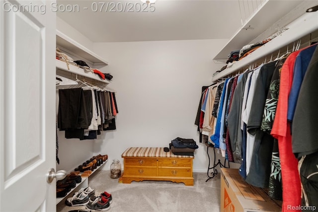9589 Wellington Ct, Clarkston, MI 48348 - walk in closet featuring carpet flooring