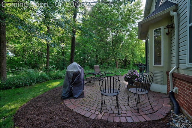9589 Wellington Ct, Clarkston, MI 48348 - view of patio featuring area for grilling