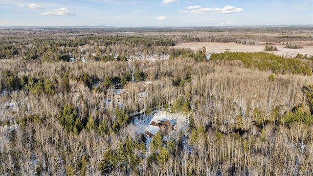 4345 Brenda Ct, Saint Helen, MI 48656 - photo 46