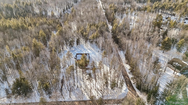 4345 Brenda Ct, Saint Helen, MI 48656 - photo 53