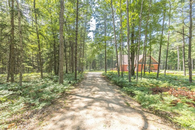 4345 Brenda Ct, Saint Helen, MI 48656 - photo 66