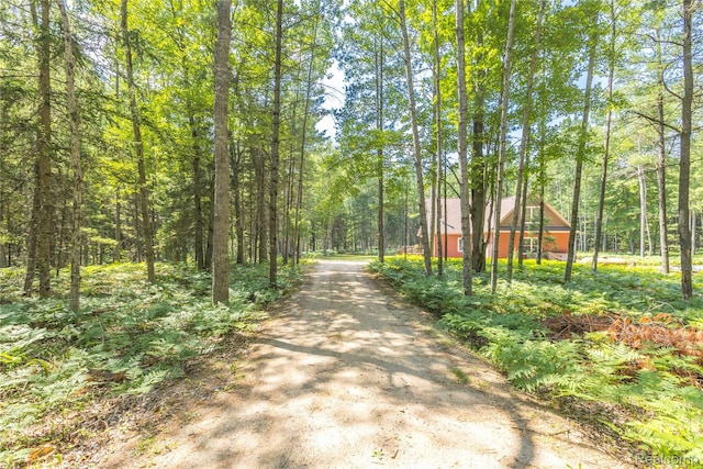4345 Brenda Ct, Saint Helen, MI 48656 - photo 13