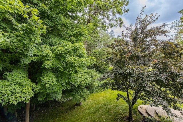 4500 Red Oak Blvd, Waterford, MI 48329 - view of green lawn