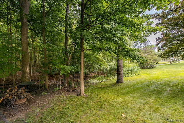 4500 Red Oak Blvd, Waterford, MI 48329 - view of green lawn