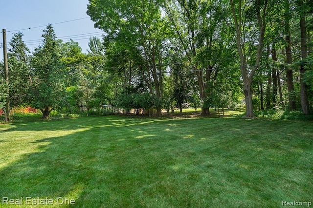 471 Elmhill Rd, Rochester Hills, MI 48306 - photo 28