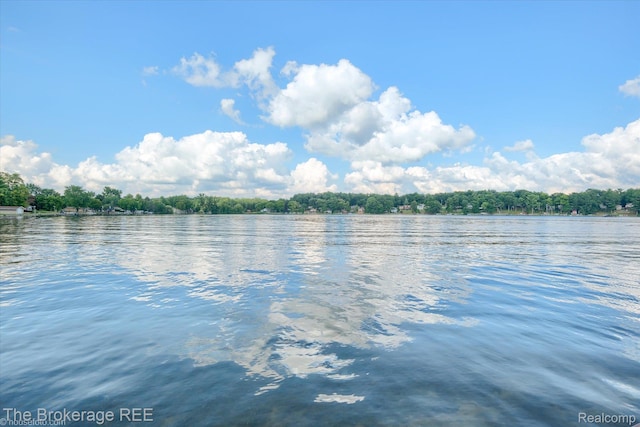166 Indian Trl, Columbiaville, MI 48421 - water view